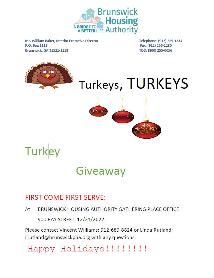 flyer for turkey